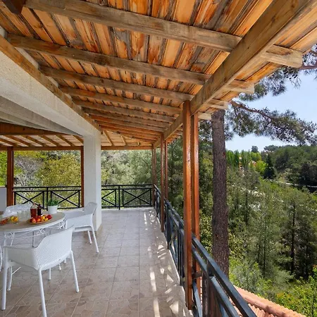 Forest Panorama * Plátres